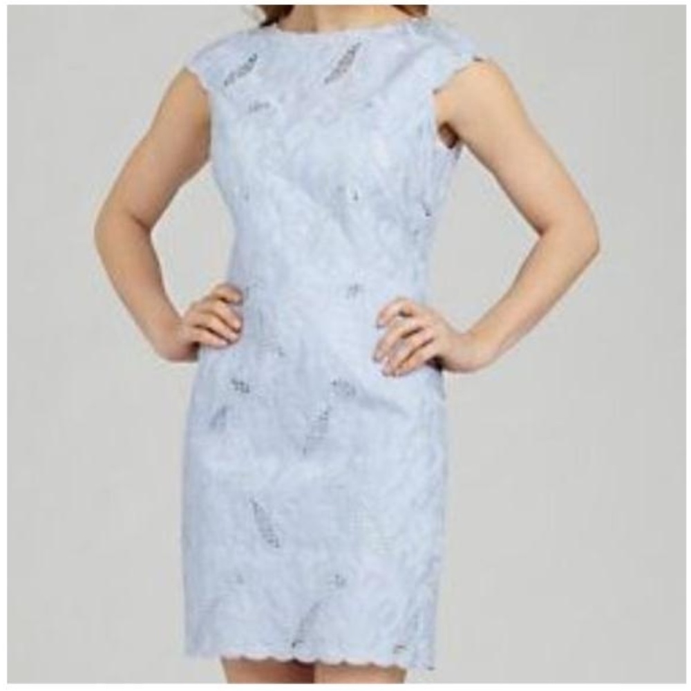 Antonio Melani shift lace dress w/scallop trim
